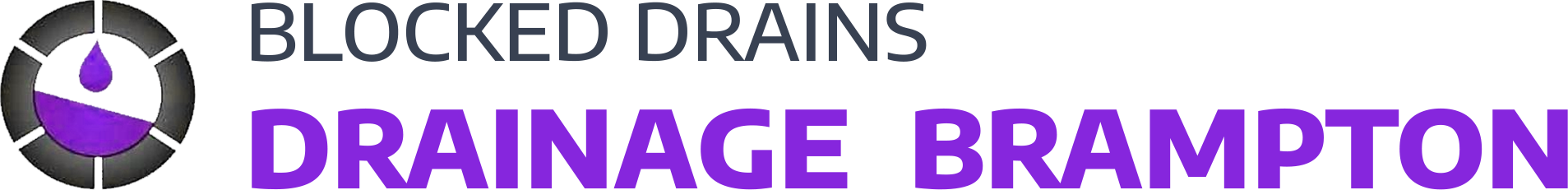 website logo